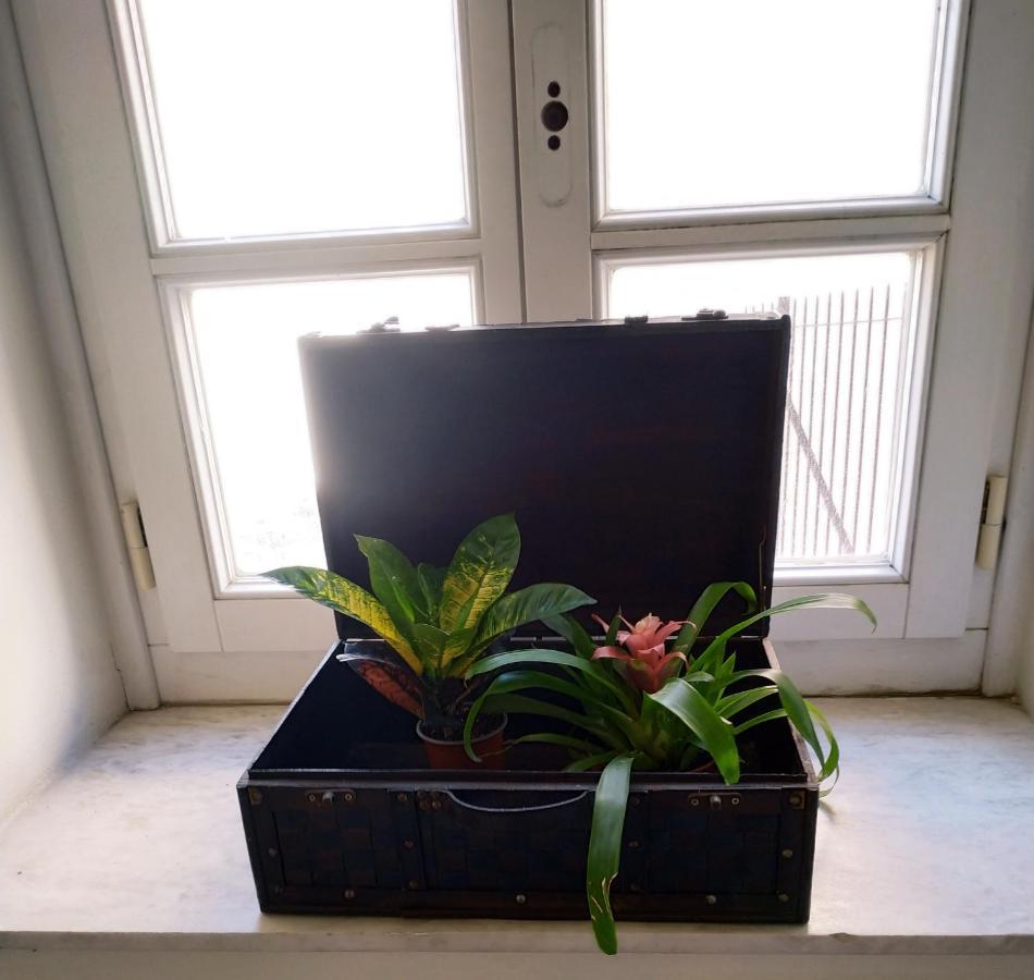 Fiera Guesthouse 埃尔莫波利斯 外观 照片